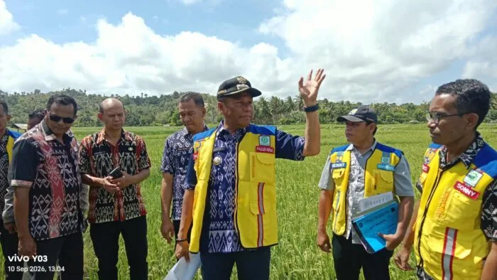 Bupati Rote Ndao tinjau irigasi ingupapan